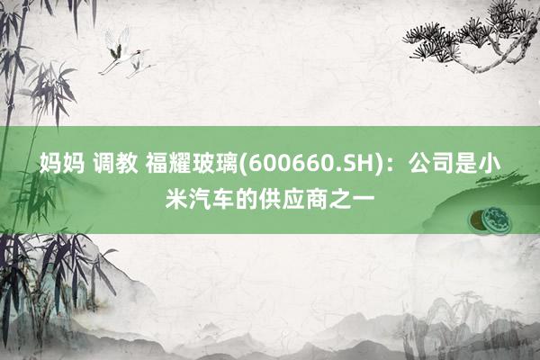 妈妈 调教 福耀玻璃(600660.SH)：公司是小米汽车的供应商之一