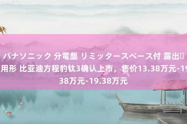 パナソニック 分電盤 リミッタースペース付 露出・半埋込両用形 比亚迪方程豹钛3确认上市，售价13.38万元-19.38万元