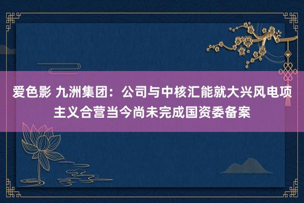爱色影 九洲集团：公司与中核汇能就大兴风电项主义合营当今尚未完成国资委备案