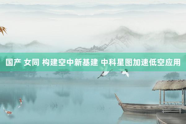 国产 女同 构建空中新基建 中科星图加速低空应用