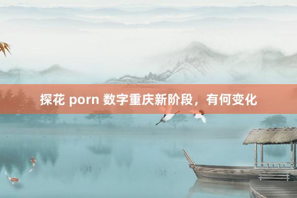 探花 porn 数字重庆新阶段，有何变化