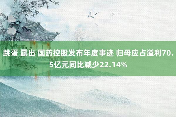 跳蛋 露出 国药控股发布年度事迹 归母应占溢利70.5亿元同比减少22.14%