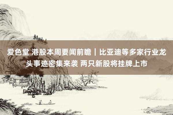爱色堂 港股本周要闻前瞻｜比亚迪等多家行业龙头事迹密集来袭 两只新股将挂牌上市