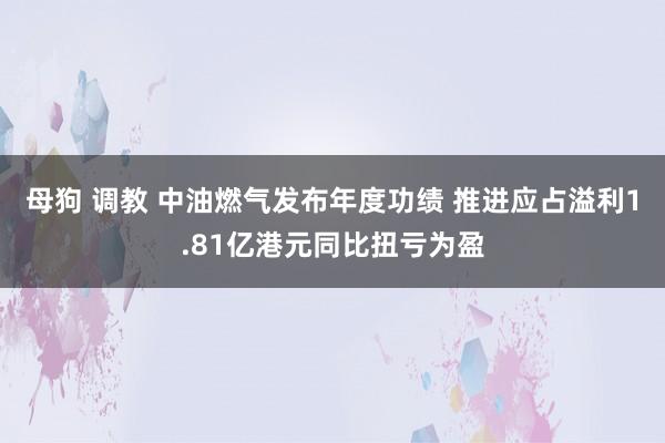 母狗 调教 中油燃气发布年度功绩 推进应占溢利1.81亿港元同比扭亏为盈