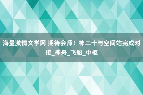 海量激情文学网 期待会师！神二十与空间站完成对接_神舟_飞船_中枢