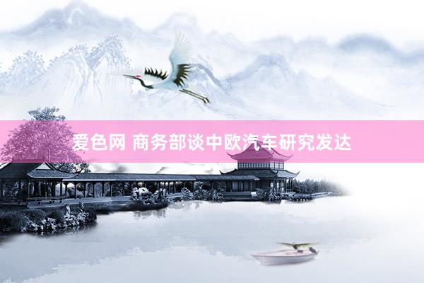 爱色网 商务部谈中欧汽车研究发达
