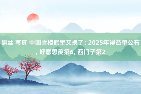 黑丝 写真 中国雪柜冠军又换了: 2025年得益单公布， 好意思菱第6， 西门子第2