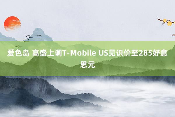 爱色岛 高盛上调T-Mobile US见识价至285好意思元